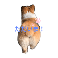 ayano_20220118125730