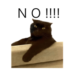 HAVE A NICE DAY!!!!!!!!!!!!!!!!!!