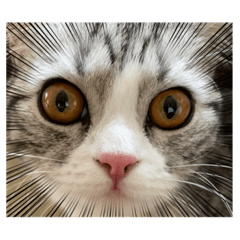 nozomi_20220118151006