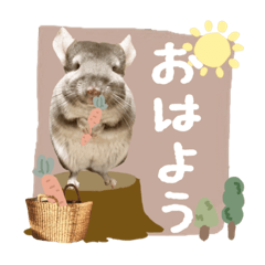 tanuki_20220118171212