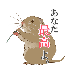 shiho_20220118171640