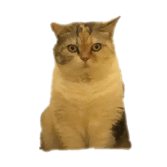rinrin_rin