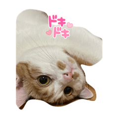 Hinata_20220118185810