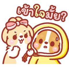 คอร์กี้คาค่า : เลิฟ เลิฟ