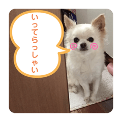 Chris_20220119091745