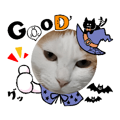 たまちゃんモーモーモー了解です