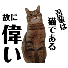 natsumi_20220119120404