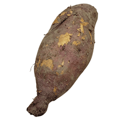 Food Series : Some Sweet Potato