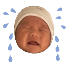 碩碩寶寶說你好