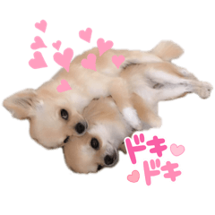merucoco_20220119103815