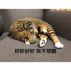 讚啦 棒棒