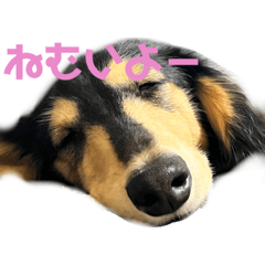 W-san_20220119153838