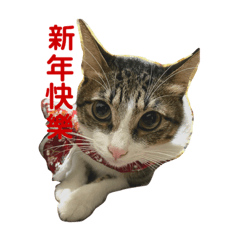 阿吉阿柚