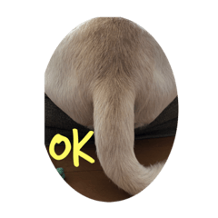 Shiho_20220119170628