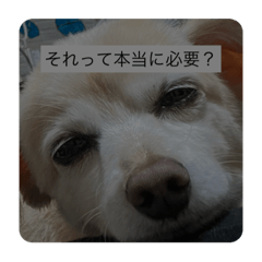 rei_20220119170808