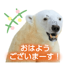chie_20220119185738