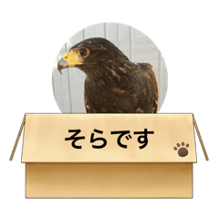 hana_20220119202614