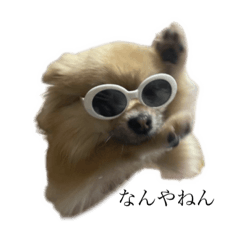 arisa_20220119212134