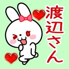 The white rabbit loves Watanabe-san