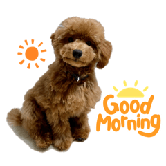 Ayumi_20220120001201