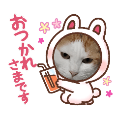 たまちゃんモーモーモーおつかれさま