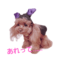 ayumi_20220119181543