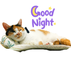 Kinaco_20220119214751