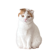 ayumi_20220119204500