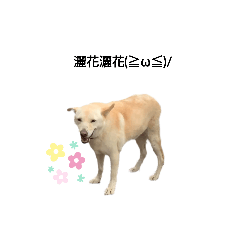 131（十三姨）的一天