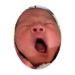 酸酸小章魚之表情很多