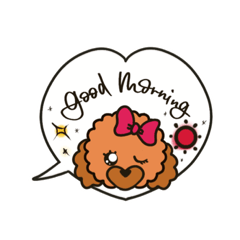 daily greeting from Miss toy poodle