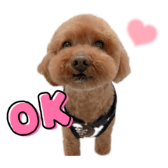 naho_20220119223215