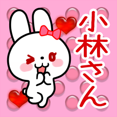 The white rabbit loves Kobayashi-san