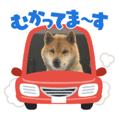 HANA_20220120041620