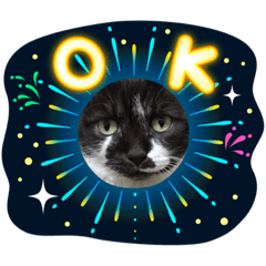 junko_20220120135711