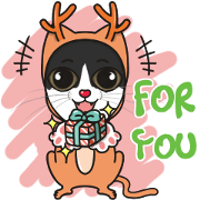 Christmas And New Year With Cats