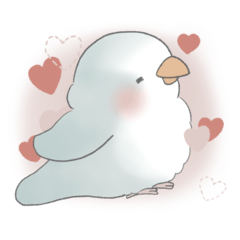 My Valentine: White-Blue Quaker Parrot