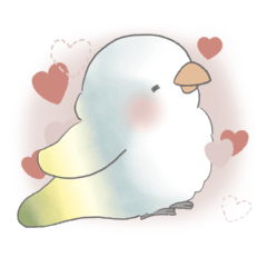 My Valentine: (Mixed) Quaker Parrot