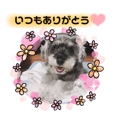 Lun_20220120155612