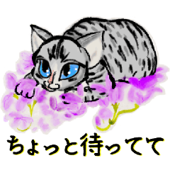 水墨画樣的花与可爱的猫