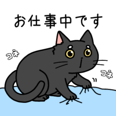 Black cat Yomi