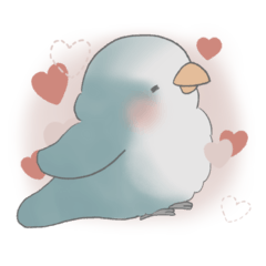 My Valentine: Blue Quaker Parrot