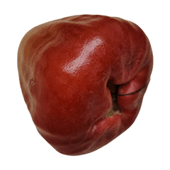 Food Series : Some WaxApple (Bell-Fruit)