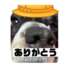 miki_20220120184052
