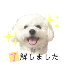 ayumi_20220120213309