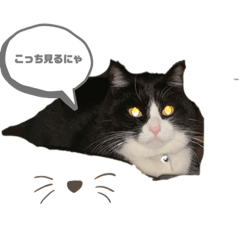 KAZUKI_20220120224735