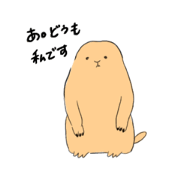 miimo_20220121000505