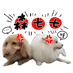 咚菲薇妞棠來囉～