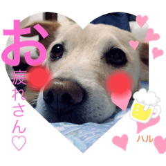 hikari_20220120204224