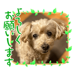 Eririn_20220120210809